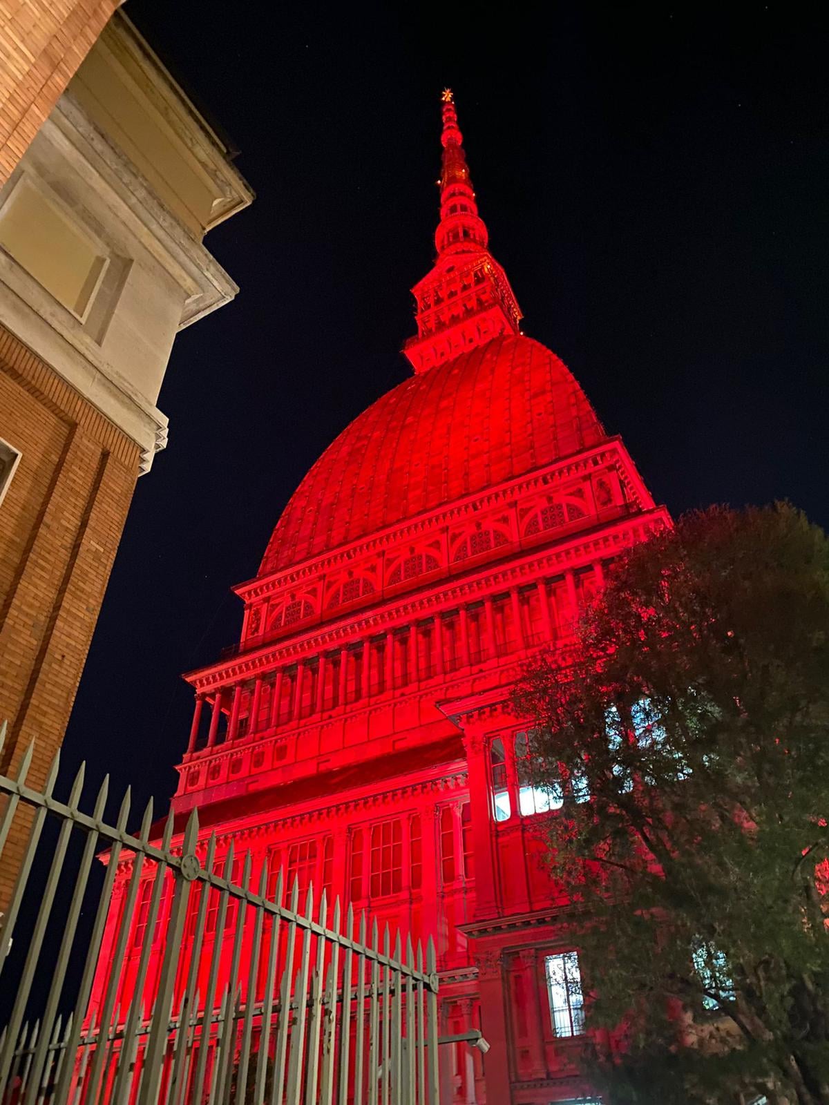 THE MOLE ANTONELLIANA ILLUMINATED IN RED FOR WHD 2021 story image