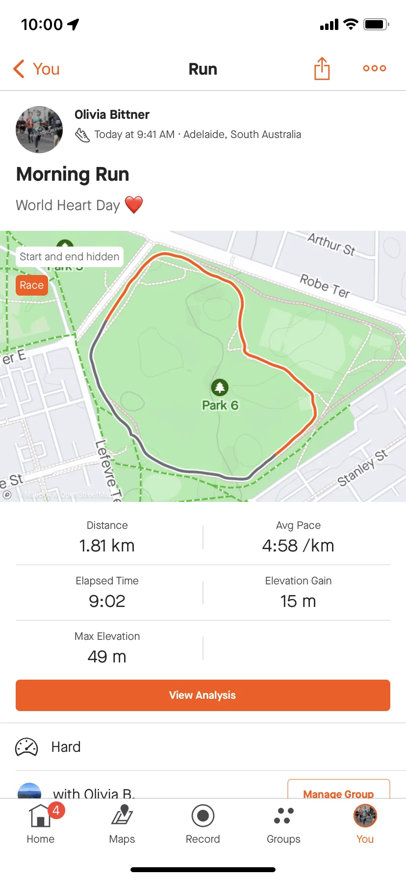 Horse paddock heart