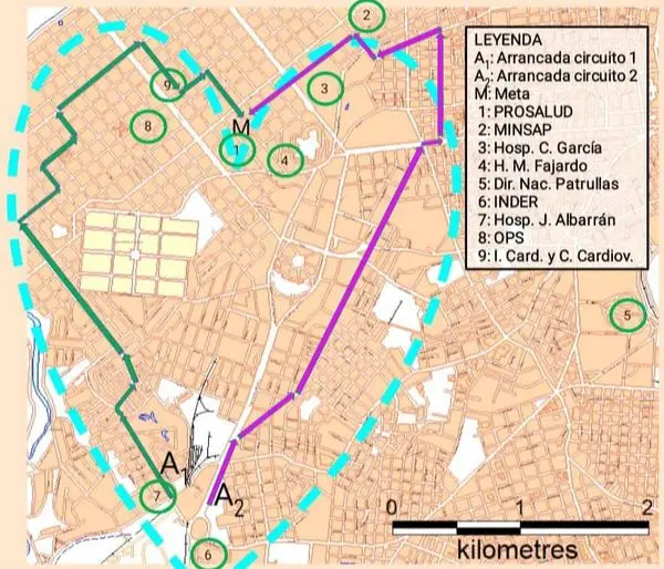 RUTA