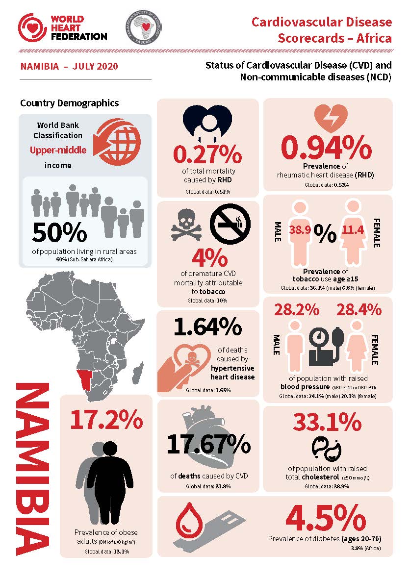 Cardiovascular disease scorecard 2020 Namibia infographic