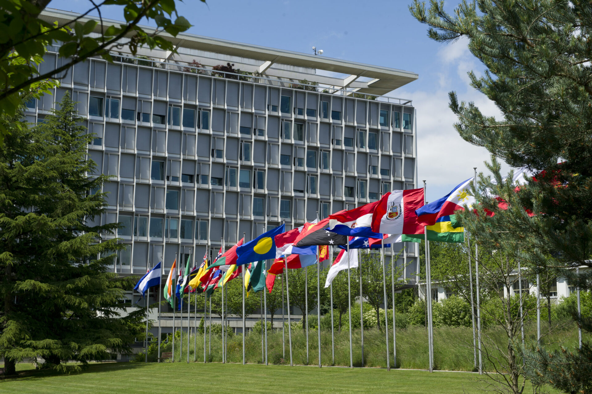 WHF participates in a Special Session of the WHO Executive Board