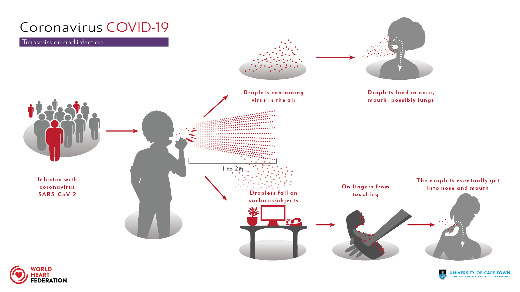 COVID 19 Transmission World Heart Federation   Coronavirus Transmission 