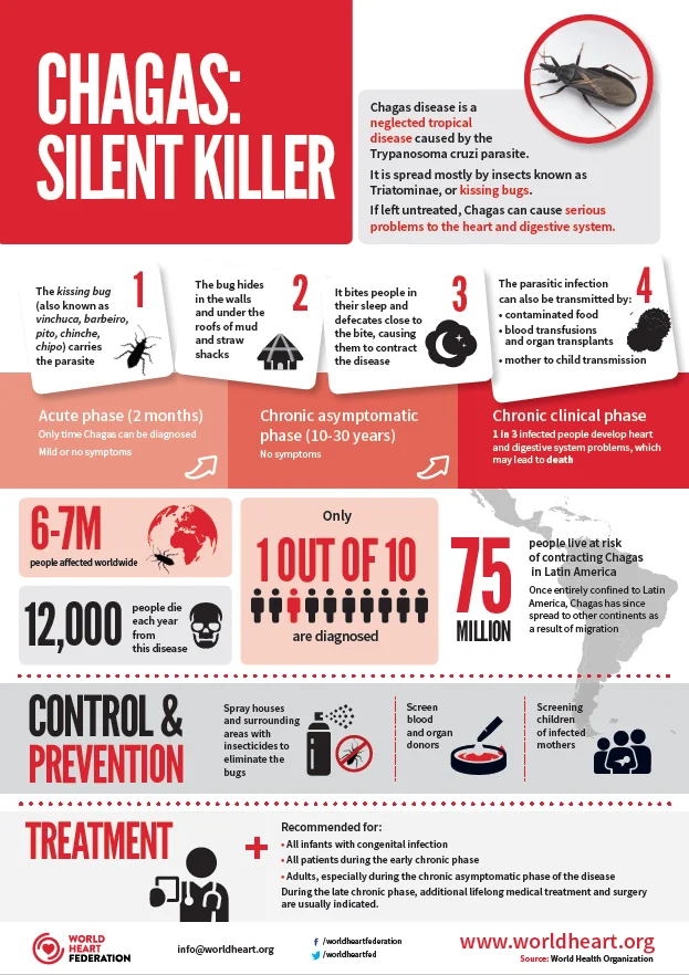 Infographic Chagas Disease World Heart Federation 7350