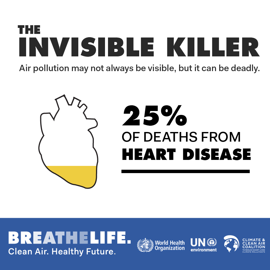 Air pollution and cardiovascular disease: a window of opportunity