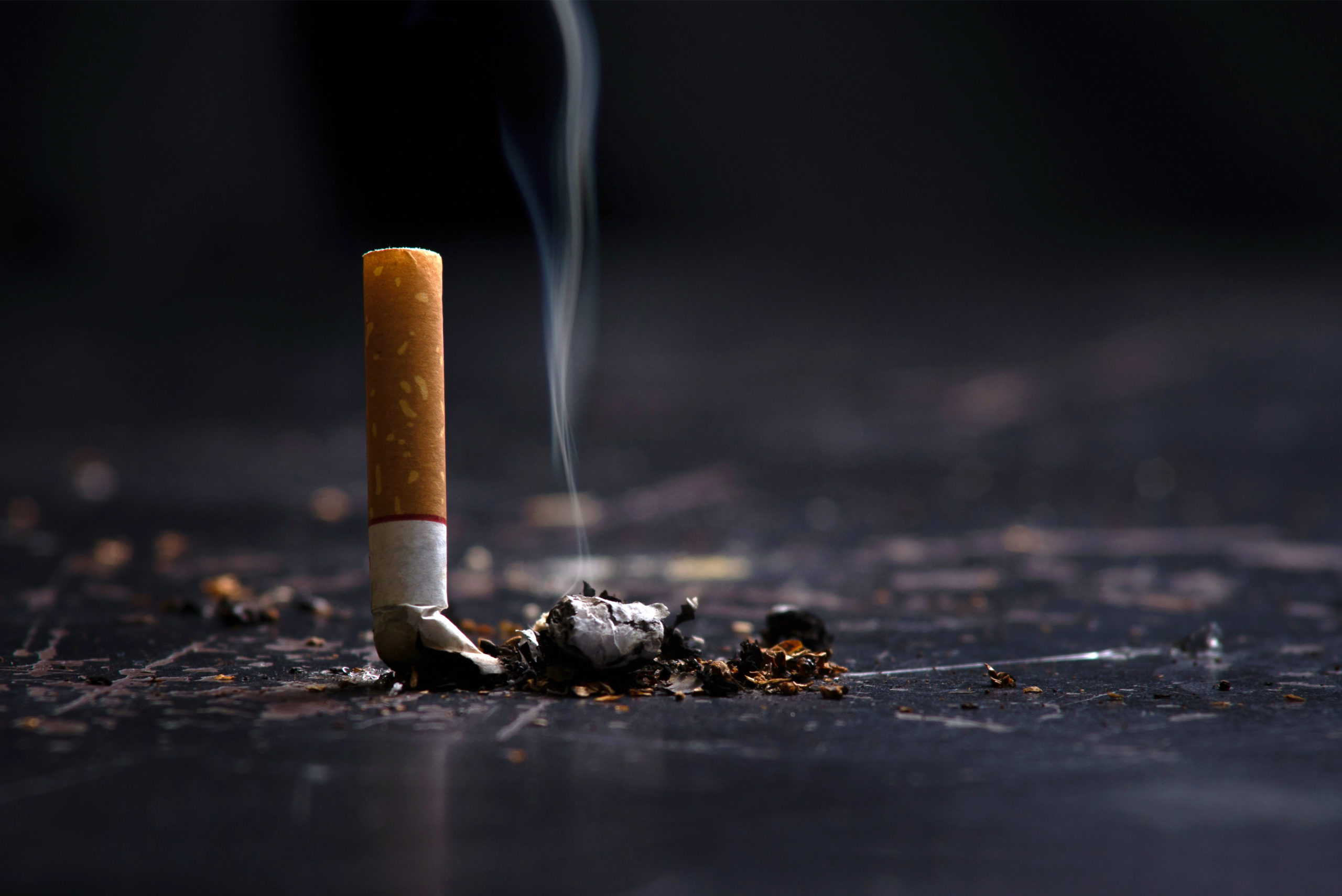 World No Tobacco Day 2022: Tobacco, the environment and the heart