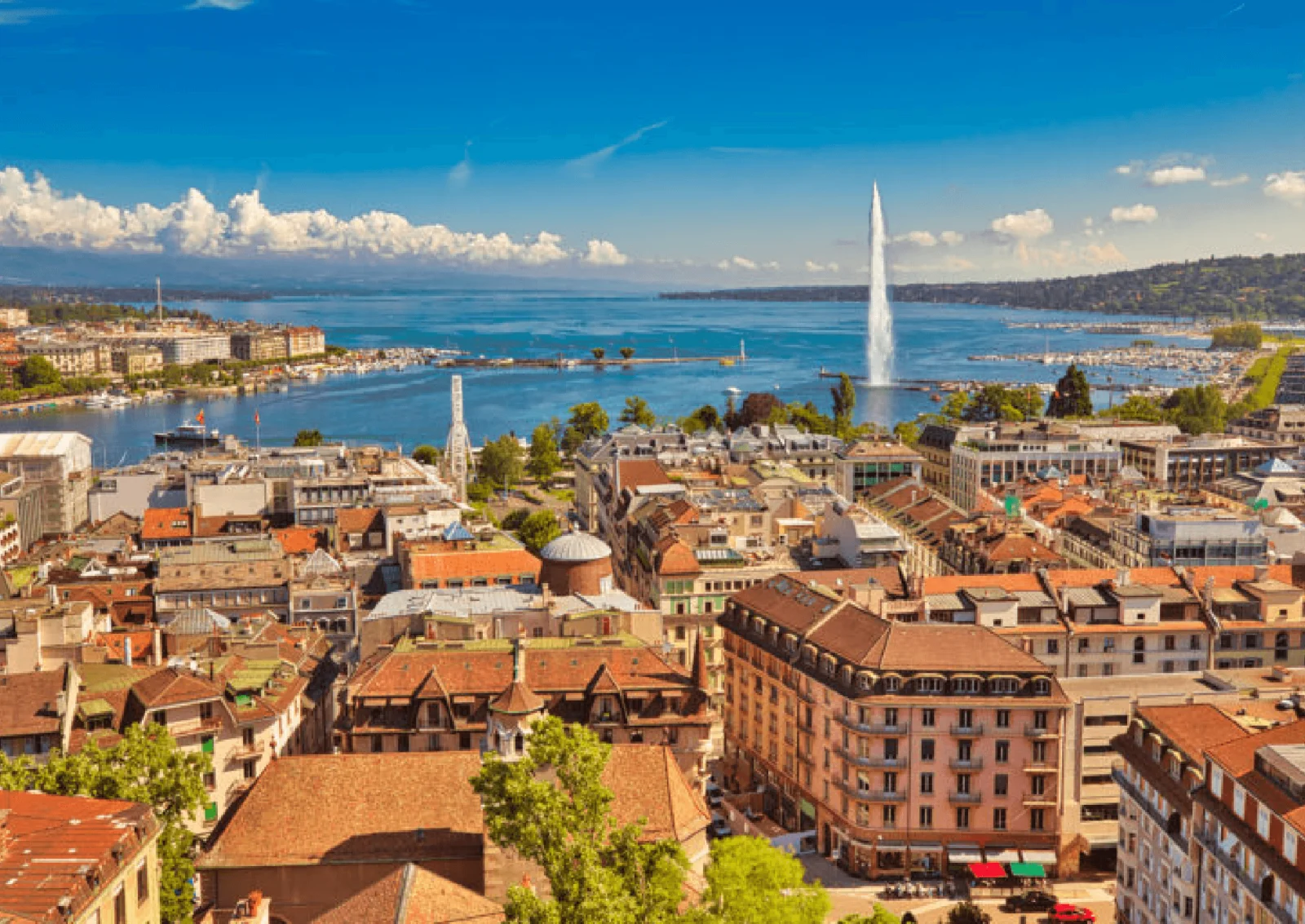 WORLD HEART SUMMIT GENEVA