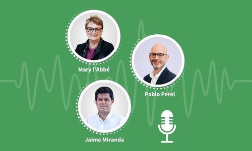 Episode 13: 2025 WHO Guidelines on Low Sodium Salt Substitutes