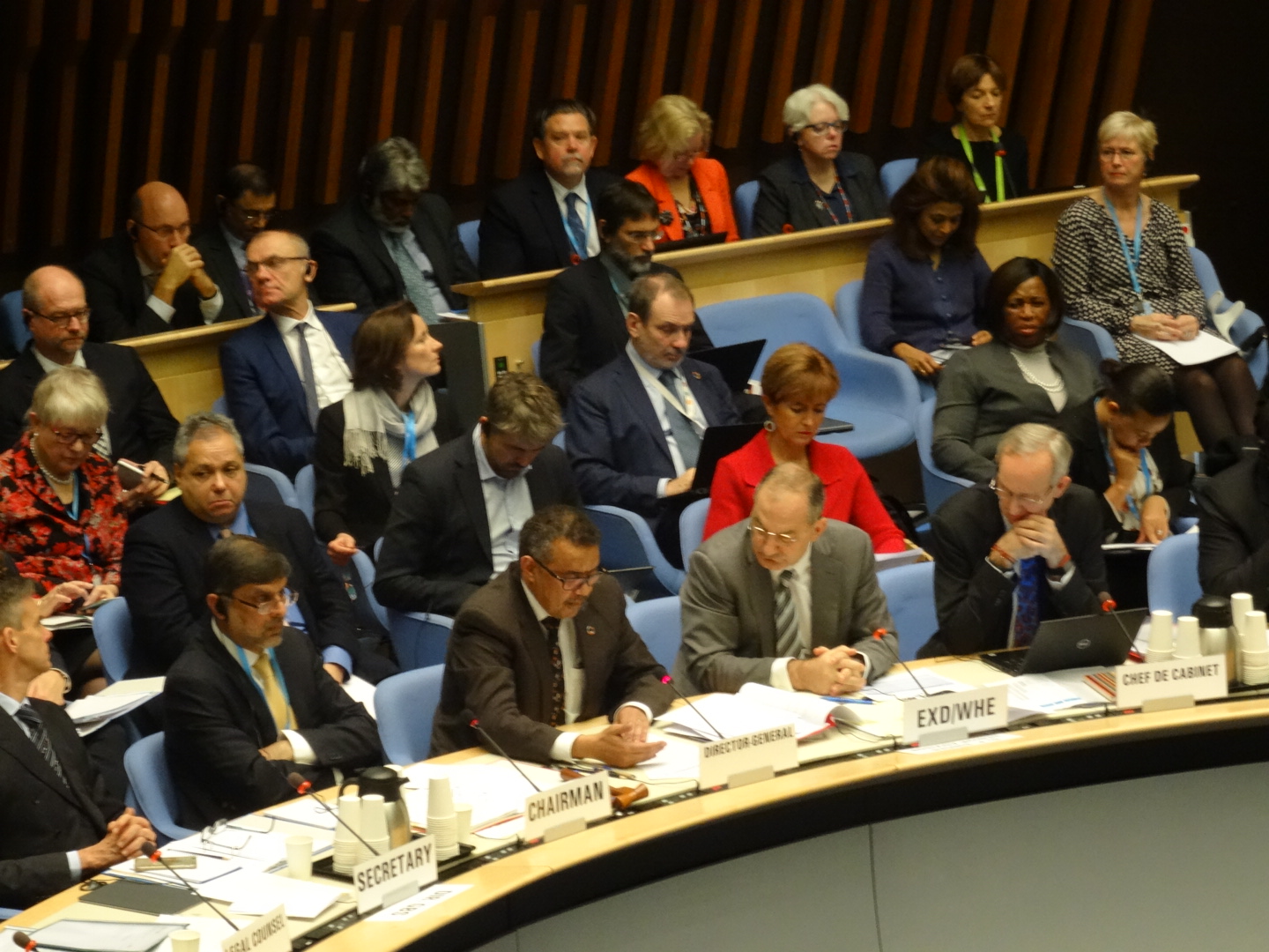 WHF attends WHO Special Session of the Executive Board