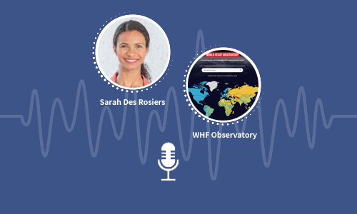 Data at the Heart, Sarah Des Rosiers