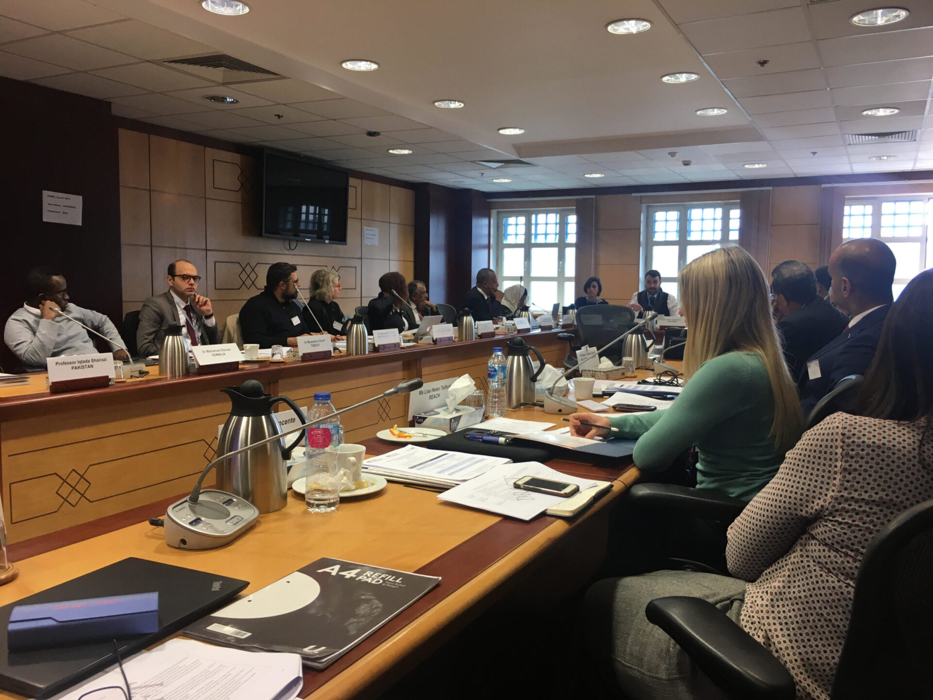 WHF Co-Organises RHD Regional Regional Workshop in Egypt