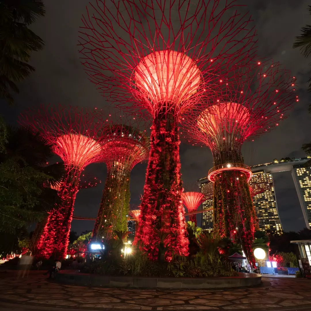 Supertree, Gardens By The Bay, Singapore