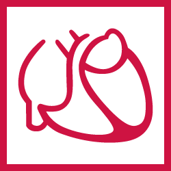 German Cardiac Society