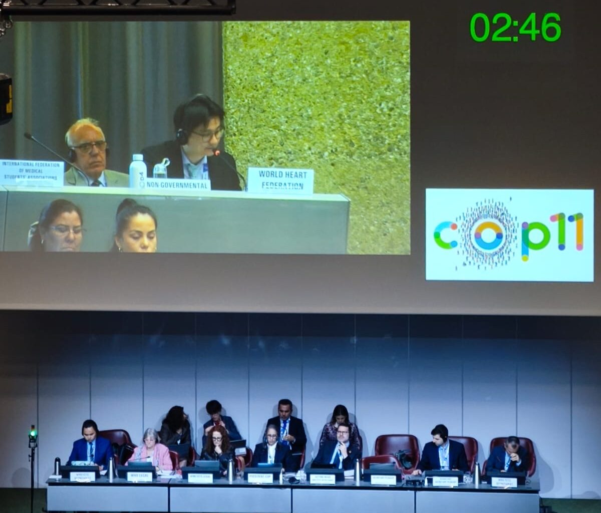 Accelerating Global Tobacco Control: Uneven Progress and Urgent Priorities