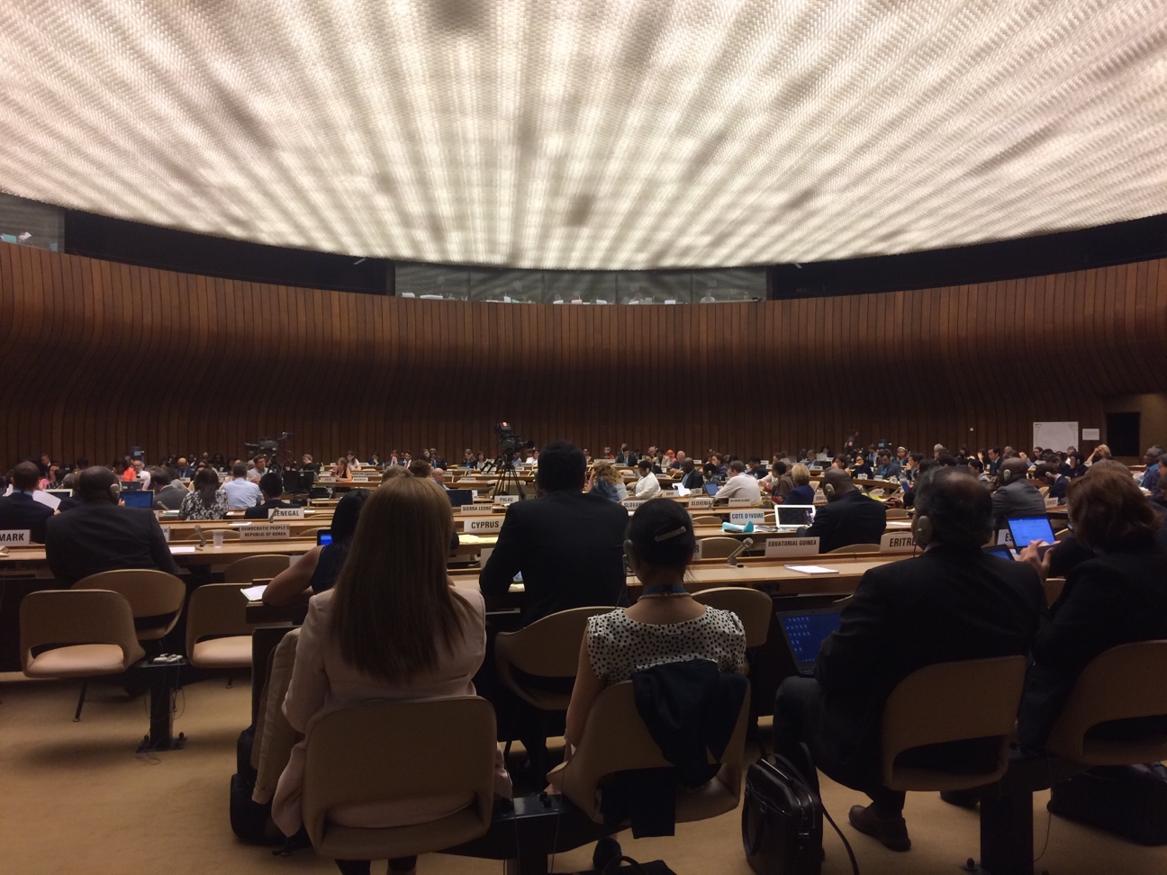 Joint statement by WHF and NCD Alliance on UN HLM in 2018