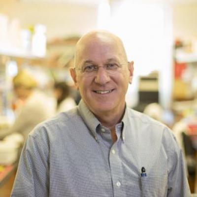 Rick Tarleton - Head of Tarleton Research Group in the University of Georgia’s Department of Cellular Biology