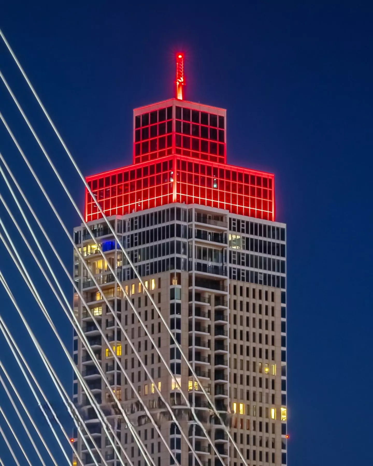 Zalmhaventoren, Rotterdam, Netherlands