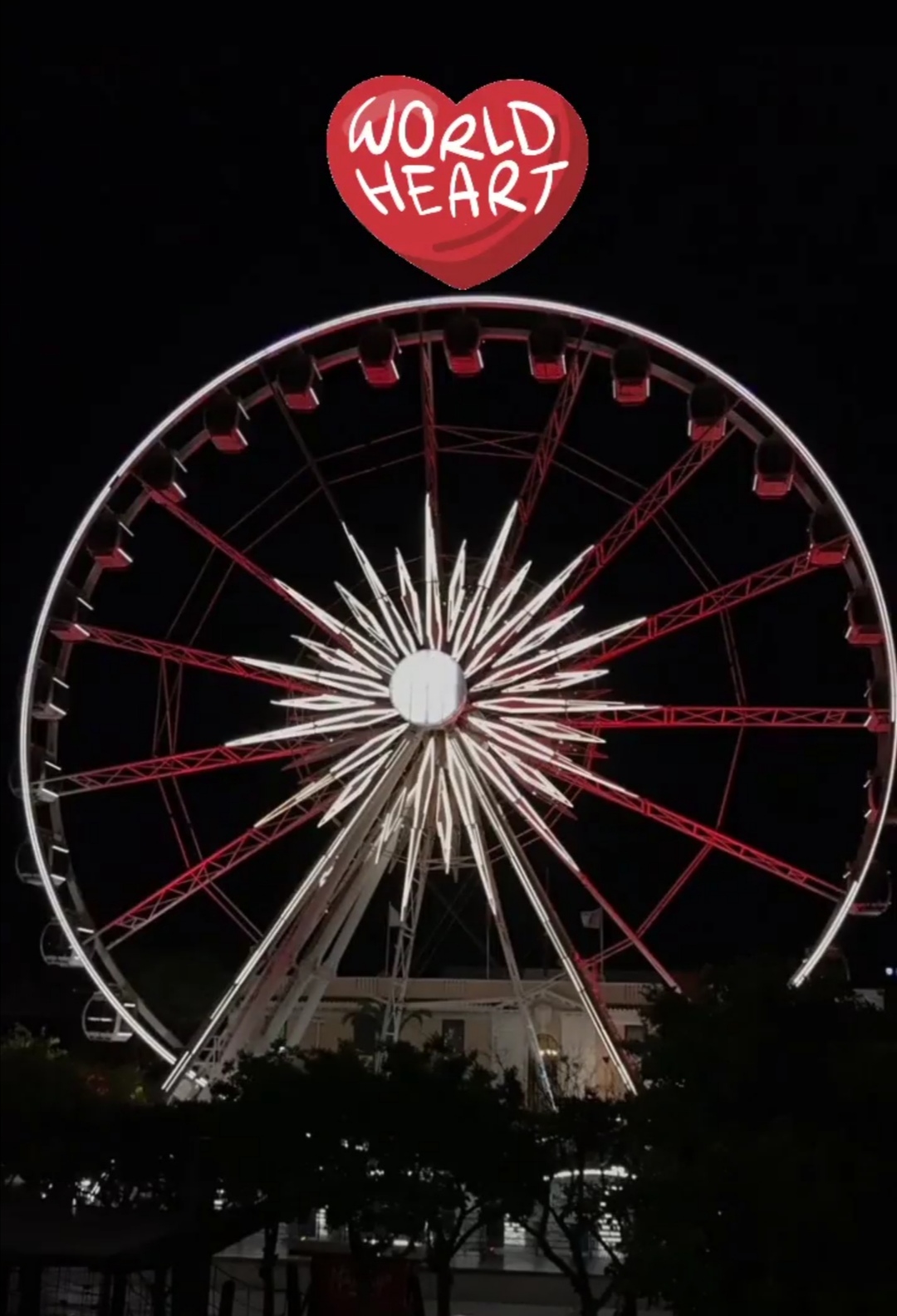 The Cape Wheel
