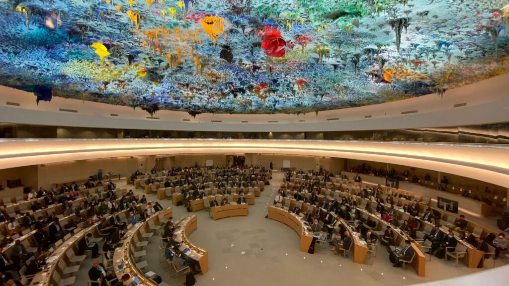 Academics and professionals gathered for the 75th World Health Assembly