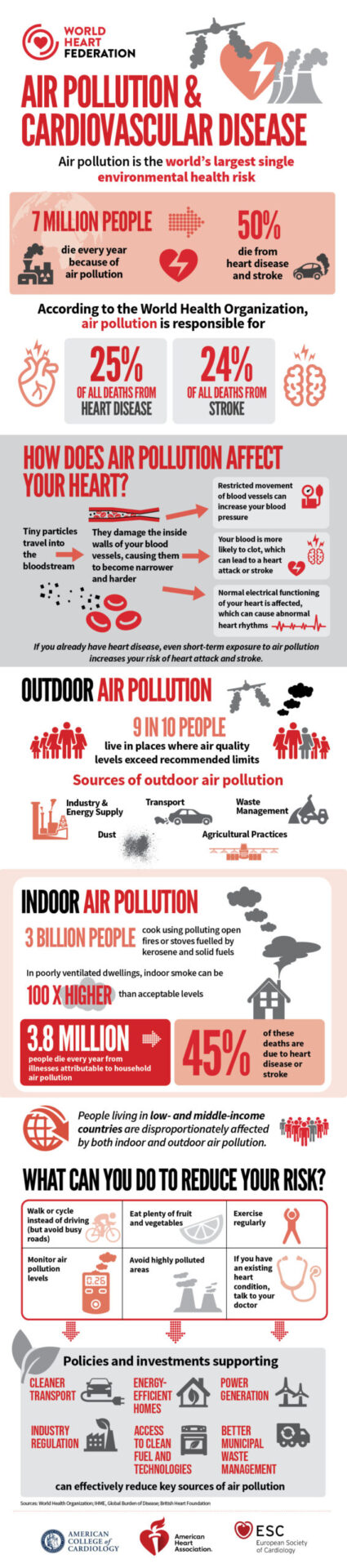 Air Pollution & CVD Infographic