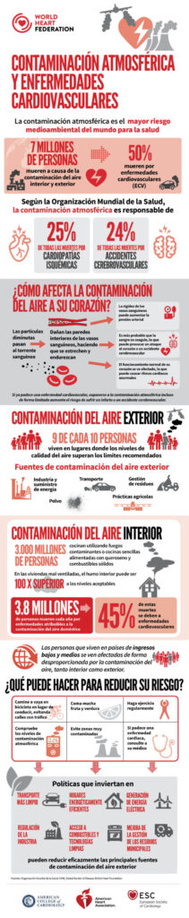 Infografía: Contaminación atmosférica y ECV