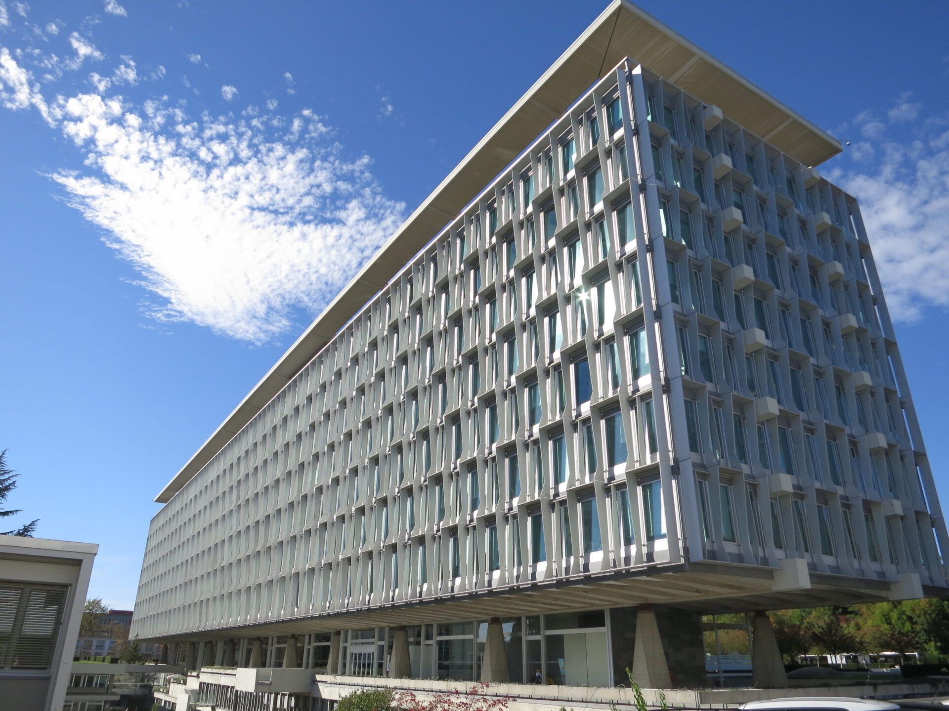 #WHA77: Strengthening Cardiovascular Care for Maternal Health