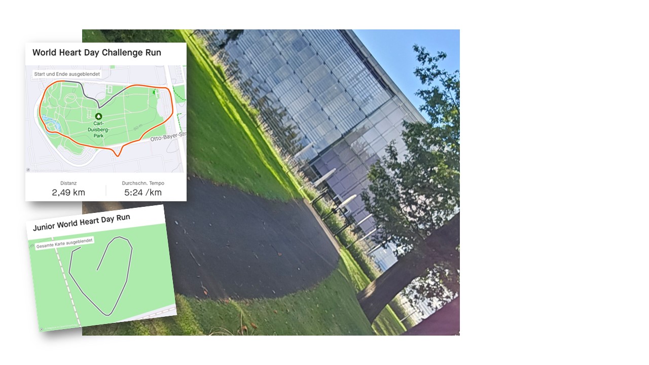 Heart around the Japanese garden and the Bayer Headquarters #TeamBayer #WorldHeartDay