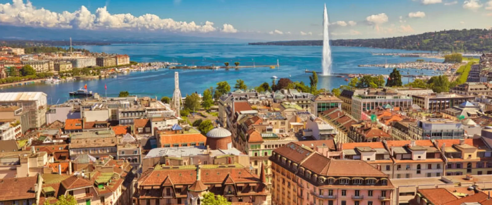 World Heart Summit Geneva