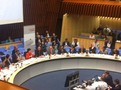 Panoramic view of a formal World Health Organization assembly in a large, modern auditorium filled with international delegates.