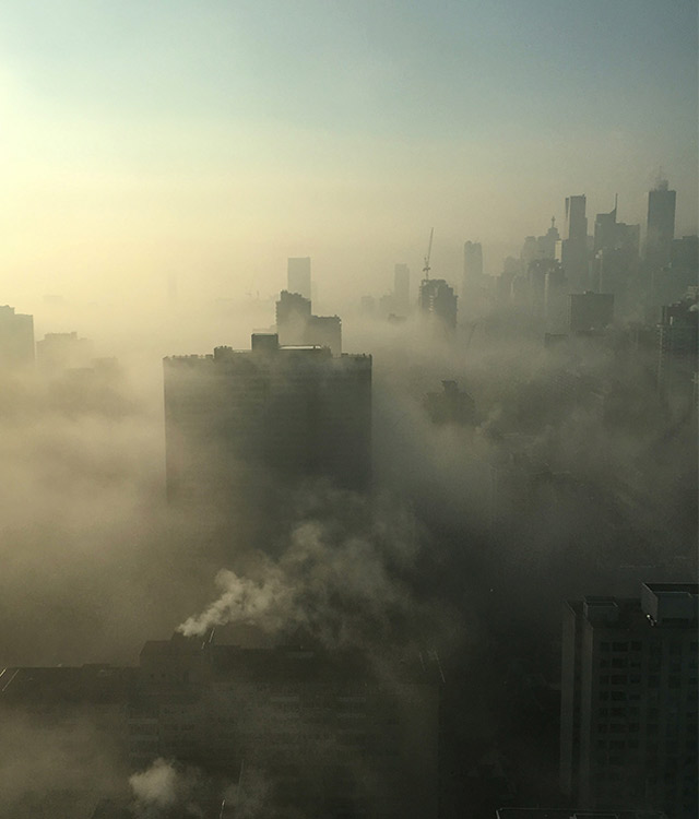 WHF welcomes new Air Pollution Expert Group
