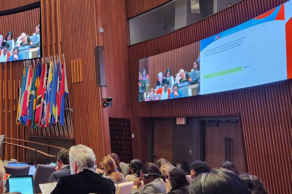 Plan of action for strengthening information systems for health 2024 – 2030