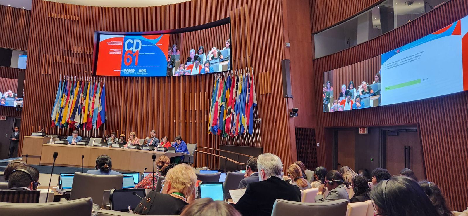 Roadmap for developing the strategic plan of the pan american health