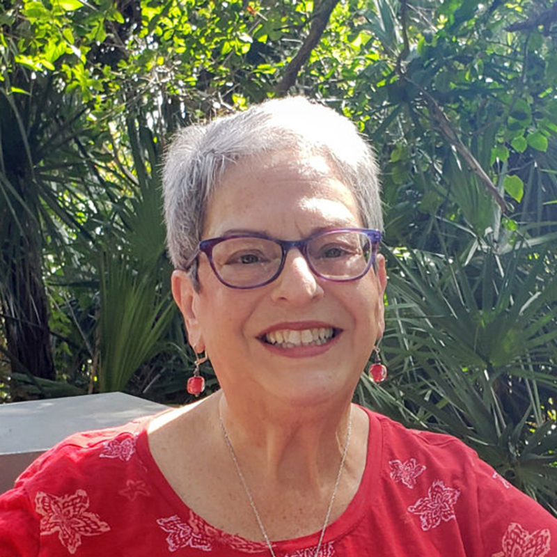 Anne Safran Dalin