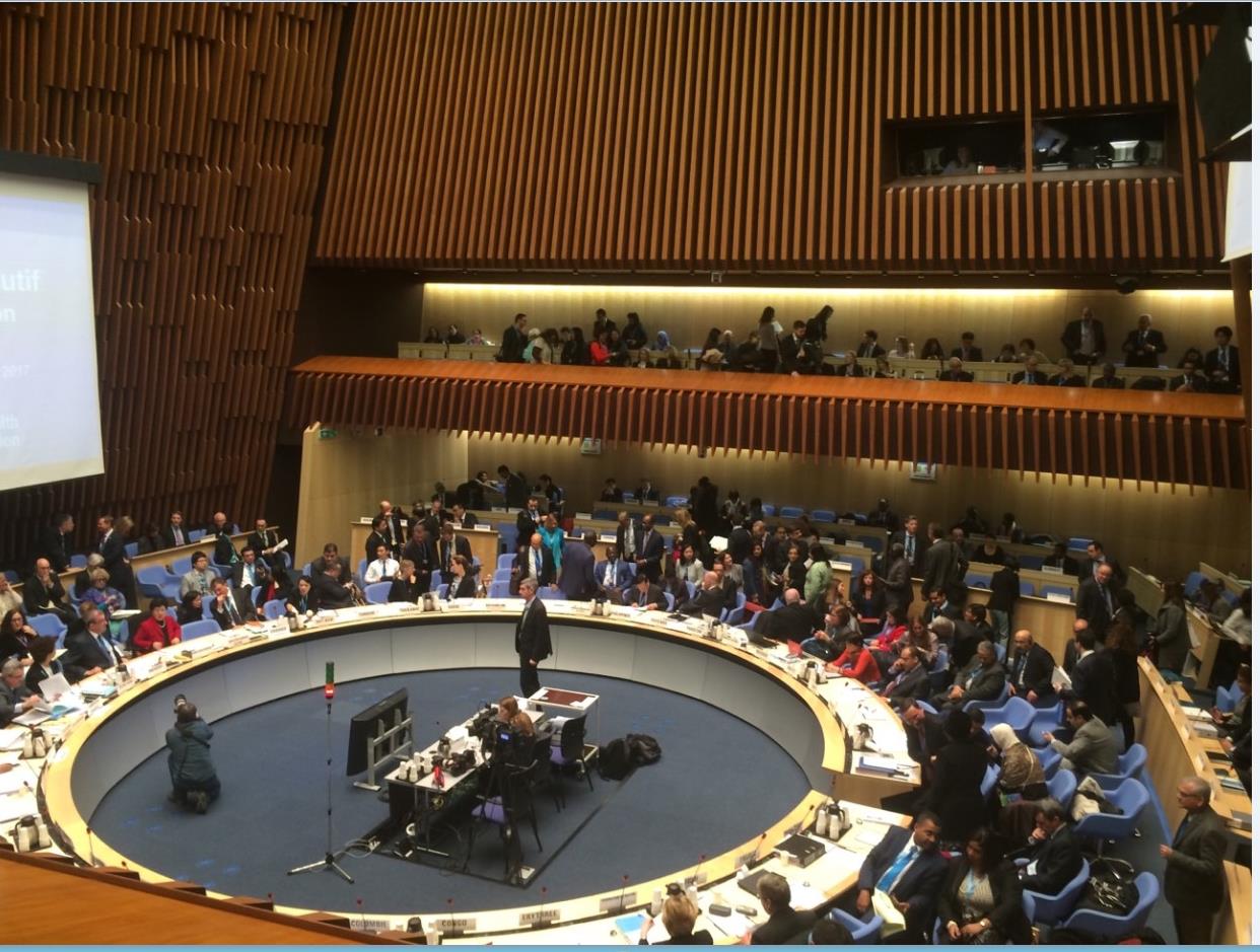 A round up of activity from the 140th session of the Executive Board