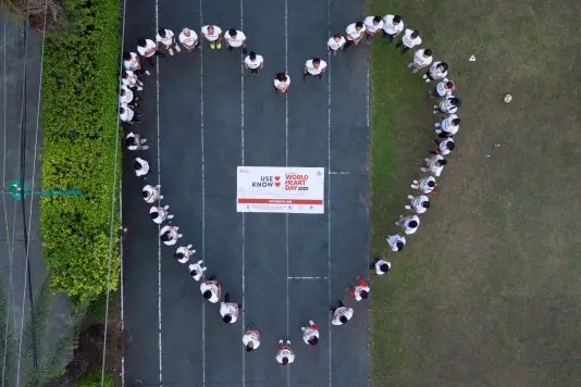 world heart day