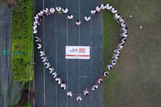World Heart Grants 2024 are open!