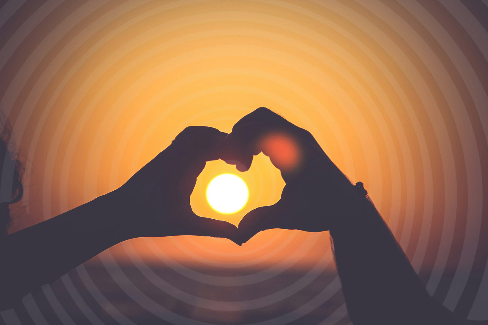 Heart Hands around a sunset