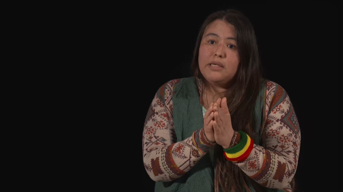 Voices of Chagas: a disease that knows no borders