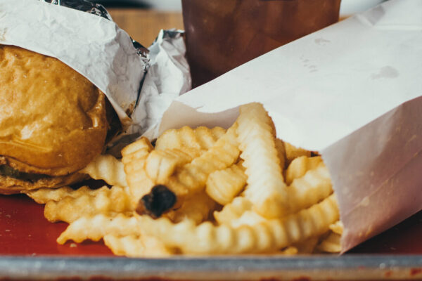 obesity expert groups