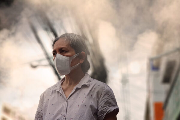 air pollution expert groups