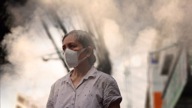 air pollution expert groups