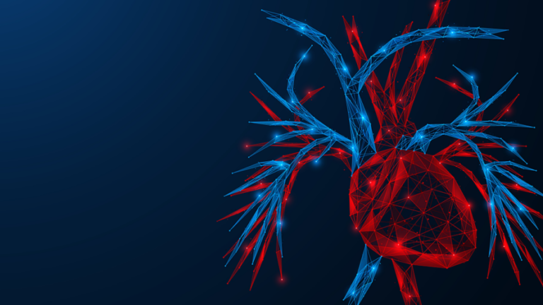 graphic of blood vessels around the heart