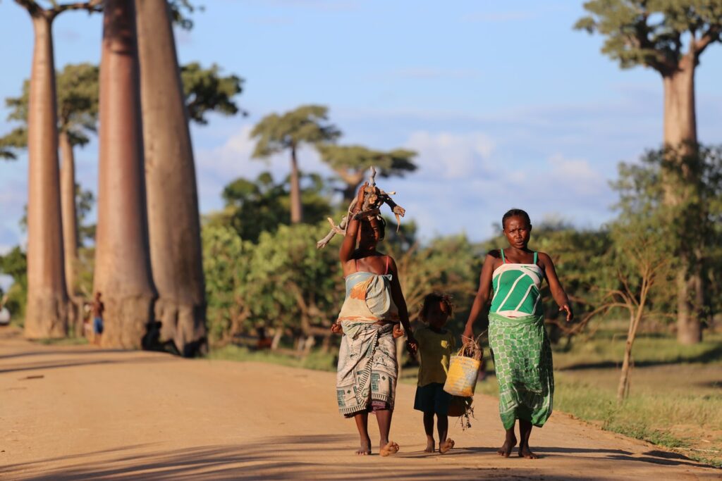 Two african women carrying sticks, and a child stood inbetween