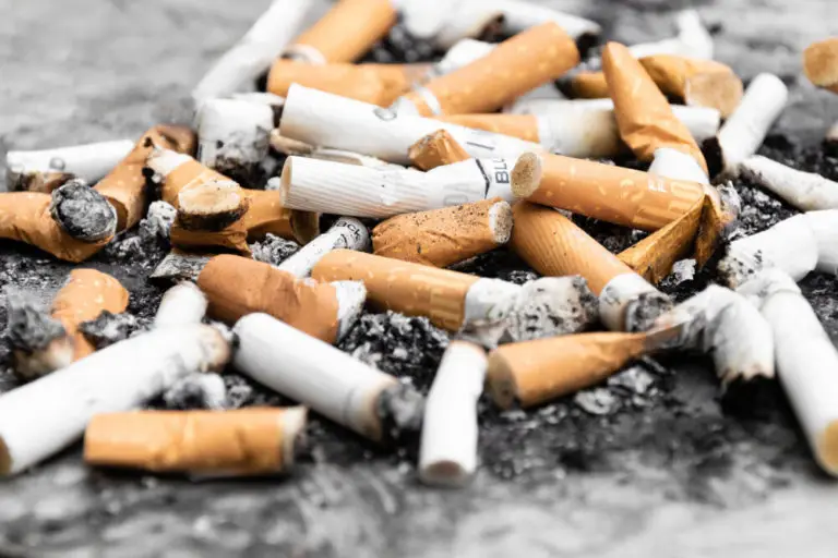 A photo of a pile of squashed cigarettes