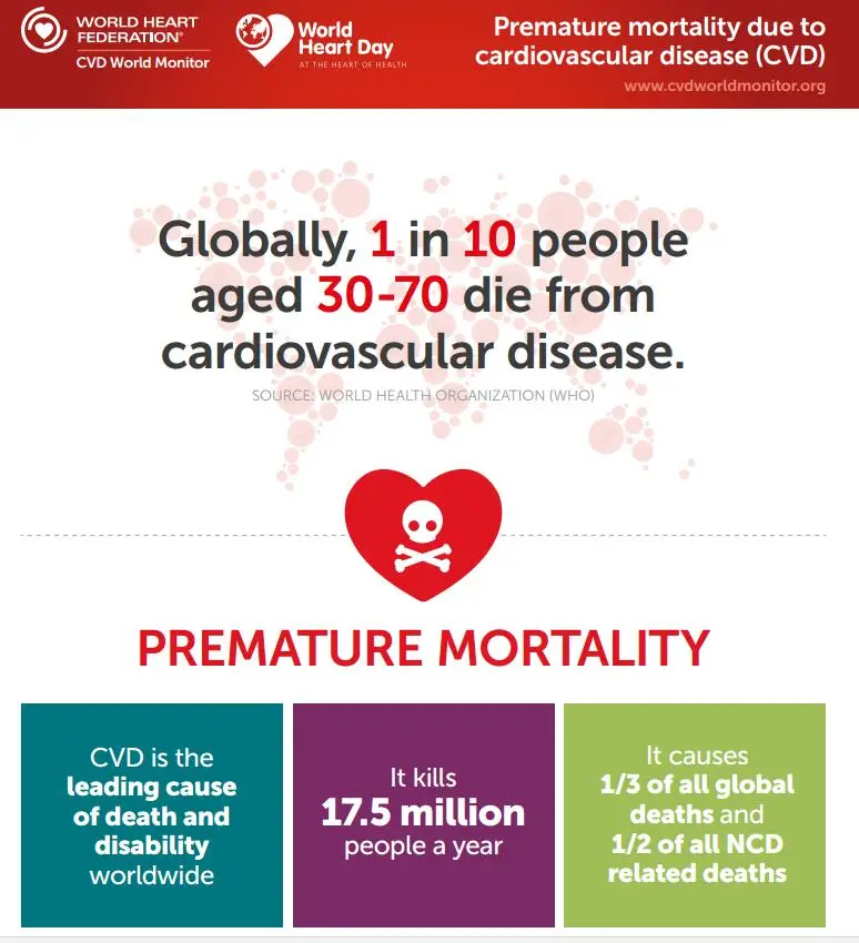 World Heart Day infographic