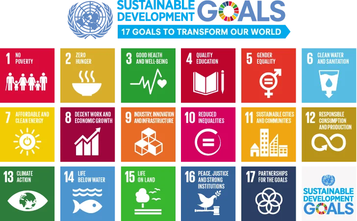 WHO Sustainable Development infographic