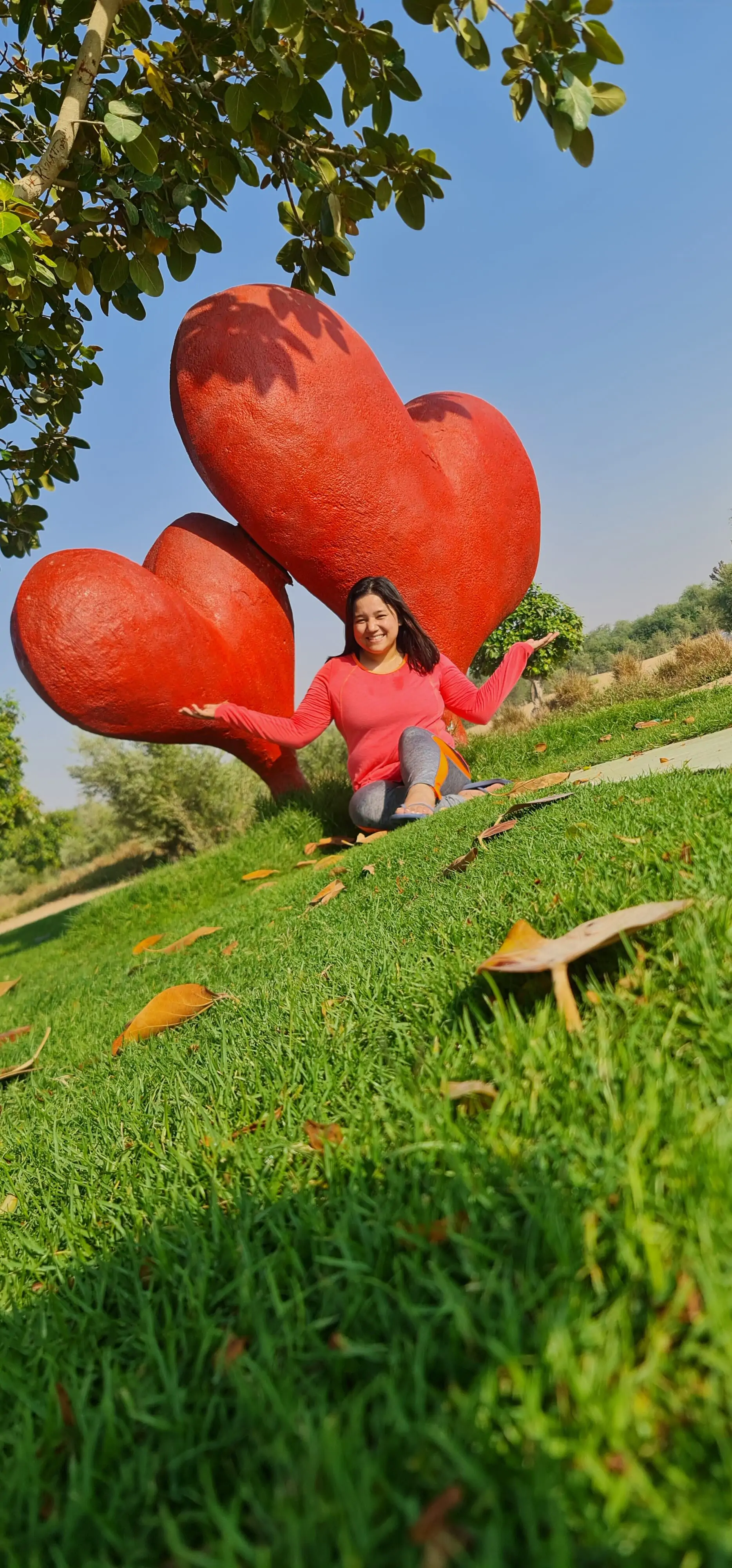 20240925_082400-rotated-1.jpg