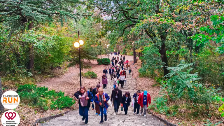 A community walk in Sveta Gora Park.