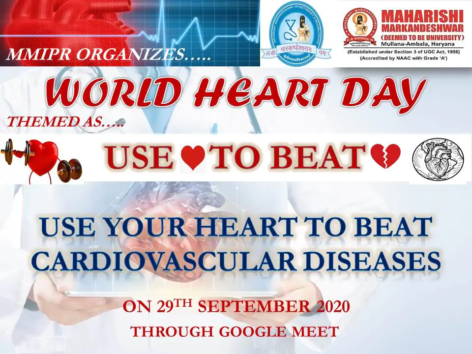  imagen de la historia