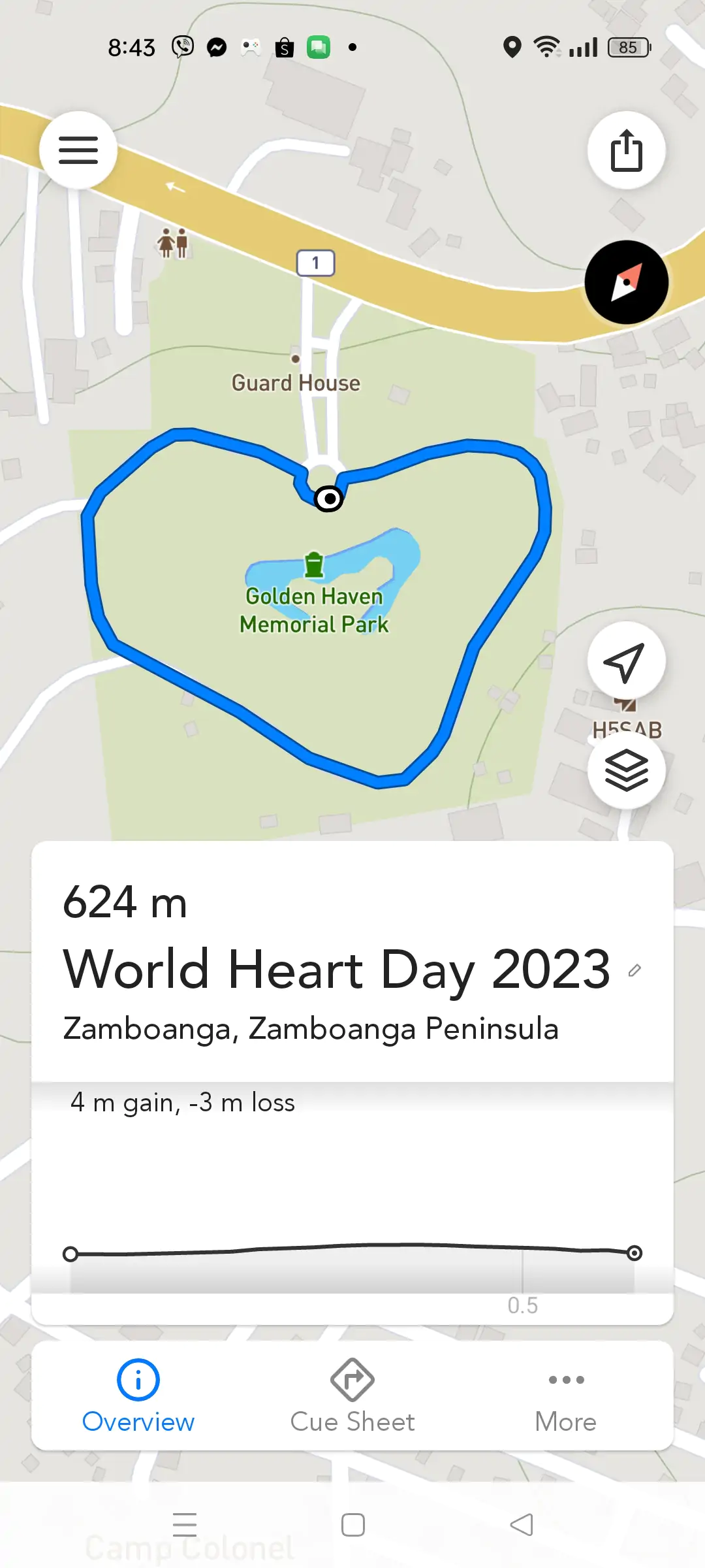 Dia de Corazon