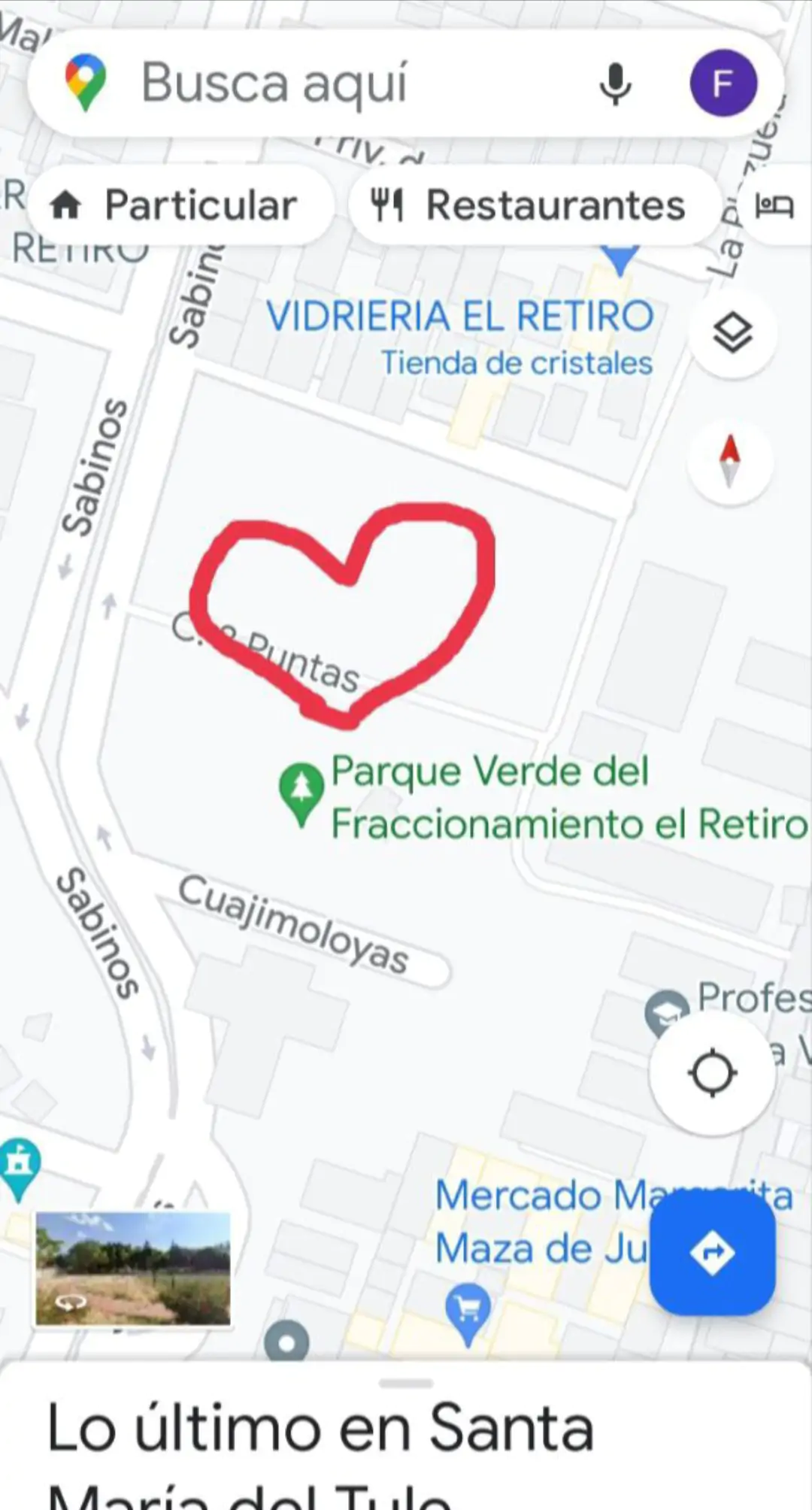 ❤️ Santa María del Tule